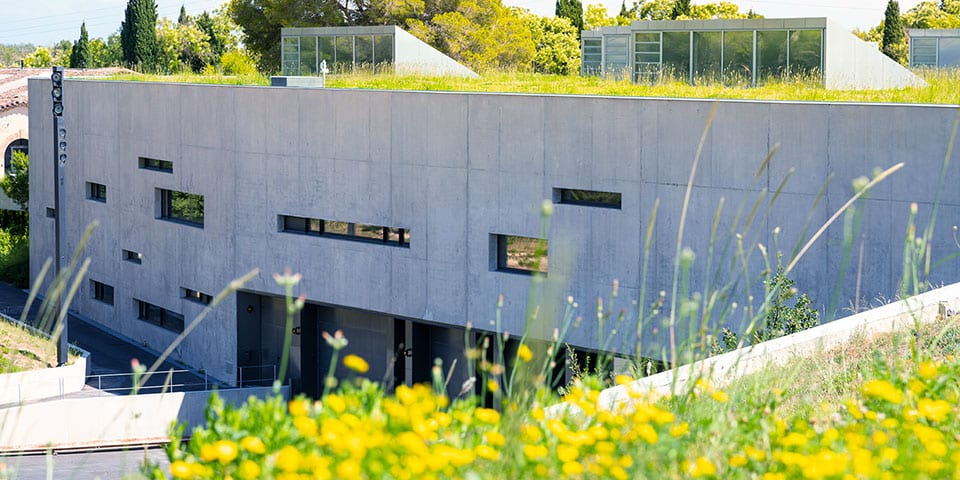 sheds et nouveau bâtiment Technilum semi-enterré